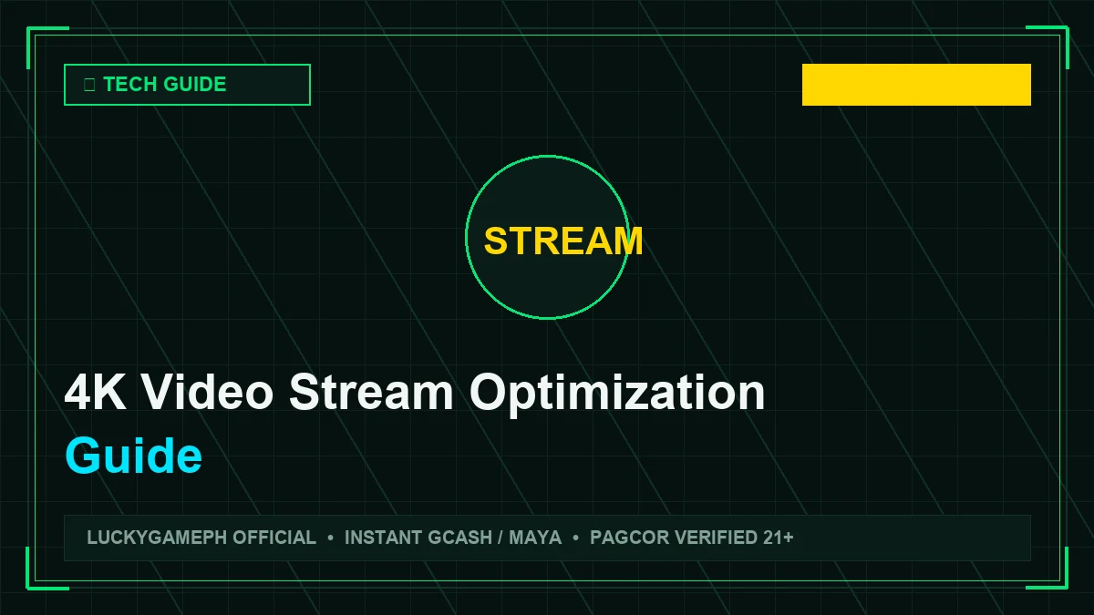 Video Stream Optimization